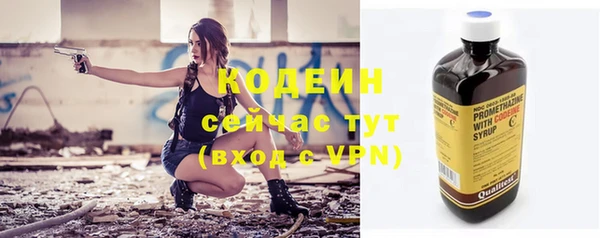 прущая мука Вяземский