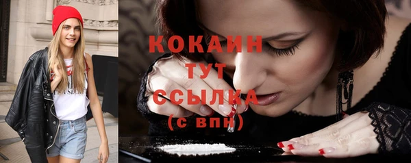 прущая мука Вяземский