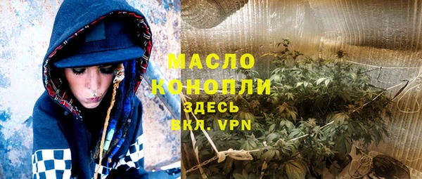 прущая мука Вяземский