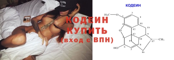 прущая мука Вяземский