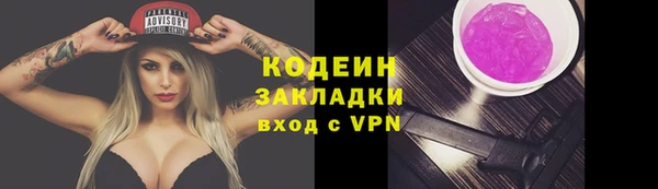 прущая мука Вяземский