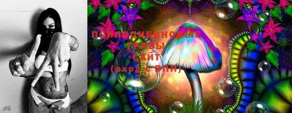 прущая мука Вяземский
